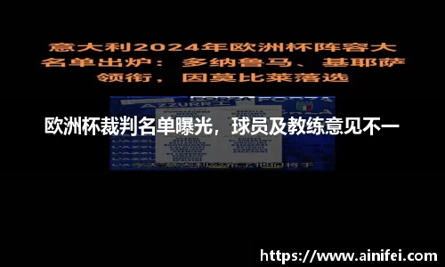 欧洲杯裁判名单曝光，球员及教练意见不一